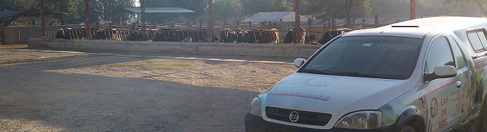 Visitas a Empresas